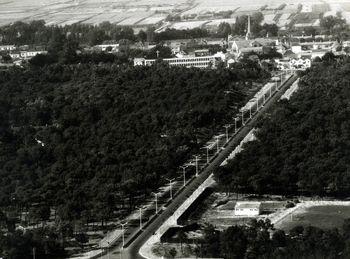 Iconographie - L'avenue de la Forêt à la hauteur du stade