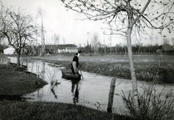 Iconographie - Femme en nioleau