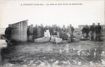 Iconographie - Passay - La criée au bord du lac de Grand-Lieu