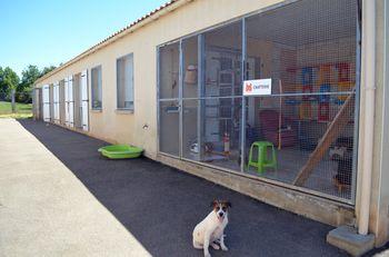 Iconographie - Vue du bâtiment chatterie au refuge SPA