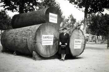 Iconographie - Grumes de géants africain sur les quais du port