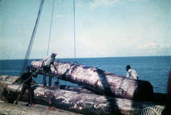 Iconographie - Georges Tanneau en chargement de bois dans la lagune Ebrié, Abidjan