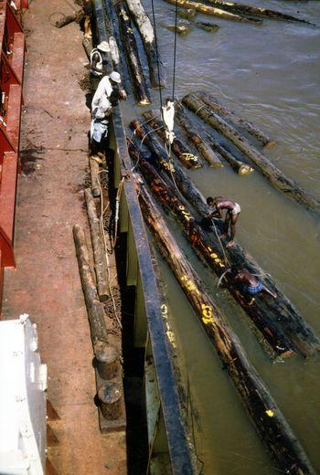 Iconographie - Georges Tanneau en chargement de bois dans la lagune Ebrié, Abidjan