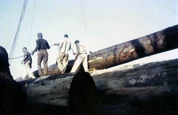Iconographie - Georges Tanneau en chargement de bois dans la lagune Ebrié, Abidjan