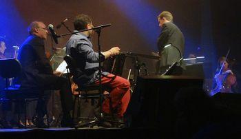 Iconographie - Sébastien Bertrand en concert sur l'île de Tatihou