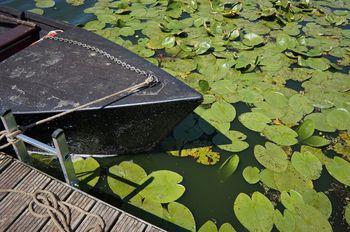 Iconographie - Barque, toue de chasse, de jean-Paul Guerlain, lac de Grand-Lieu