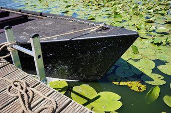 Iconographie - Barque, toue de chasse, de jean-Paul Guerlain, lac de Grand-Lieu