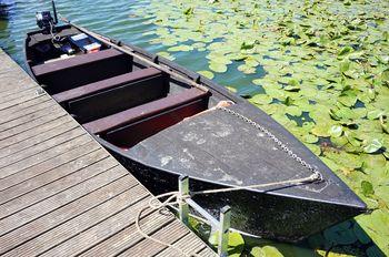 Iconographie - Barque, toue de chasse, de jean-Paul Guerlain, lac de Grand-Lieu