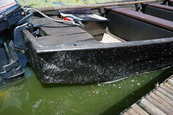 Iconographie - Barque, toue de chasse, de jean-Paul Guerlain, lac de Grand-Lieu