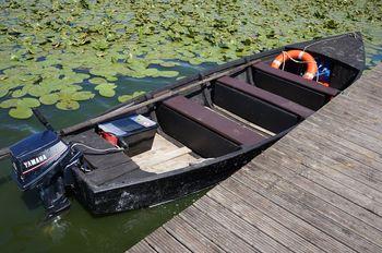 Iconographie - Barque, toue de chasse, de jean-Paul Guerlain, lac de Grand-Lieu