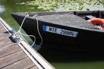 Iconographie - Barque, toue de chasse, de jean-Paul Guerlain, lac de Grand-Lieu