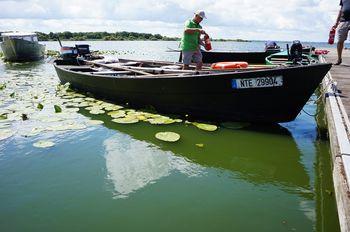 Iconographie - Barque, toue de chasse, de jean-Paul Guerlain, lac de Grand-Lieu