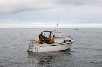 Iconographie - La Langoust'in - Pêche au casier au large de Saint-Gilles-Croix-de-Vie