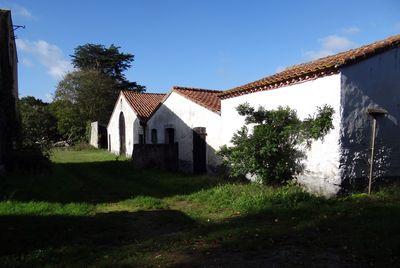 Iconographie - Ferme du Mollin - Le grenier à blé, le toit à cochons, la grange-étable