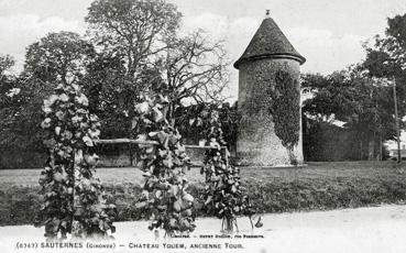 Iconographie - Château Yquem, ancienne tour