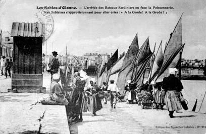 Iconographie - L'arrivée des bateaux Sardiniers