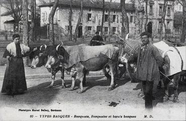 Iconographie - Basquais, Basquaise et boeufs basques