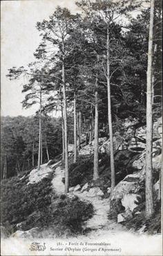 Iconographie - Forêt de Fontainebleau - Sentier d'Orphée (Gorges d'Apremont)