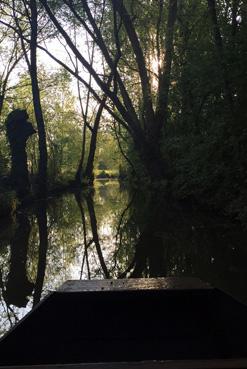 Iconographie - Jeux de reflets sur un fossé de la Venise Verte