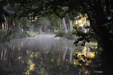 Iconographie - Brume matinale sur une conche de la Venise Verte