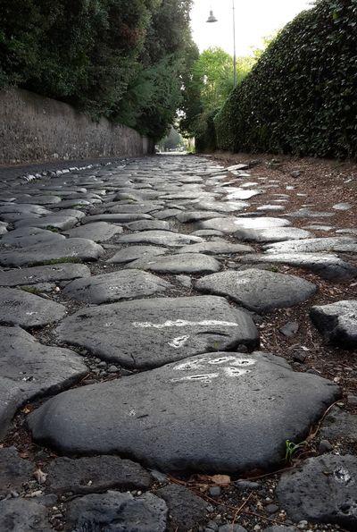 Iconographie - Pèlerinage vendéen à Rome