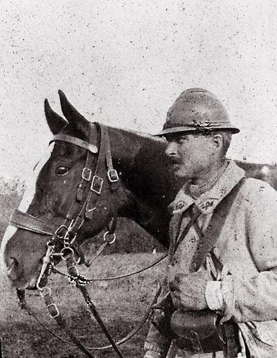 Iconographie - Le nouvel ordonnace de cheval du capitaine Café