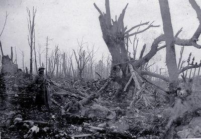 Iconographie - Le Bois des Buttes, dit des Boches