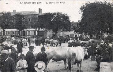 Iconographie - Le marché aux boeufs