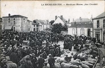 Iconographie - Marché aux moutons, place Circulaire