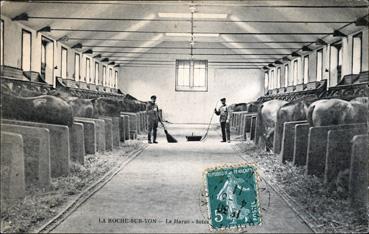 Iconographie - Le haras - Intérieur des boxs