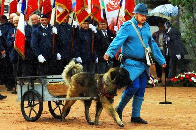 Iconographie - Journée commémorative autour des chevaux de guerre