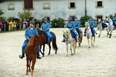 Iconographie - Journée commémorative autour des chevaux de guerre