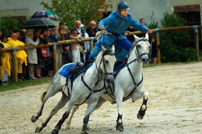 Iconographie - Journée commémorative autour des chevaux de guerre