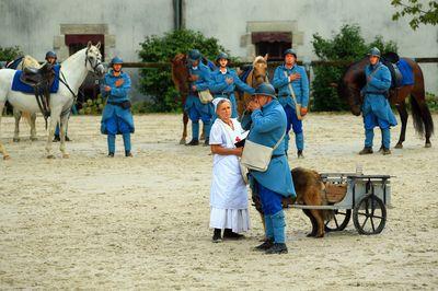 Iconographie - Journée commémorative autour des chevaux de guerre