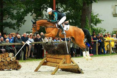 Iconographie - Journée commémorative autour des chevaux de guerre