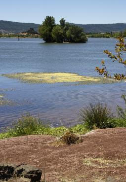 Iconographie - Lac du sud