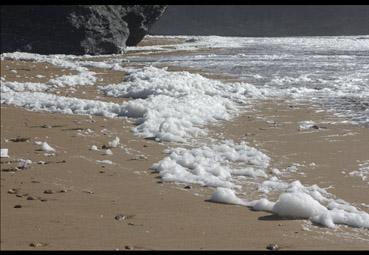 iconographie - Ecume de mer