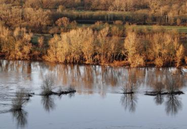 Iconographie - Fleuve tranquille