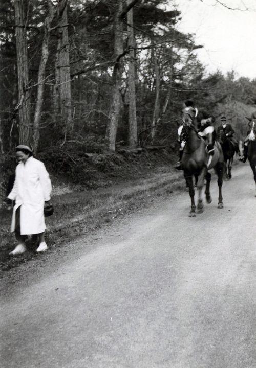 Iconographie - Le Bien-Allé - Chasse à Sohéac