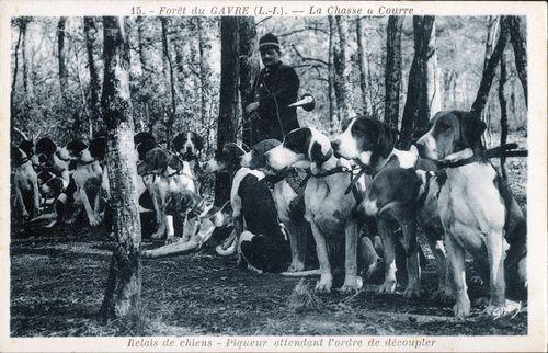 Iconographie - Relais de chiens - Piqueur attendant l'ordre de découpler