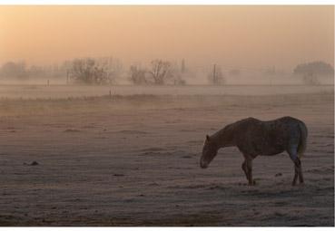 Iconographie - Matin d'hiver 2