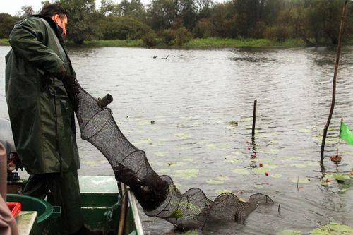 Iconographie - Frédéric Baudry en pêche dans le lac de Grand-Lieu