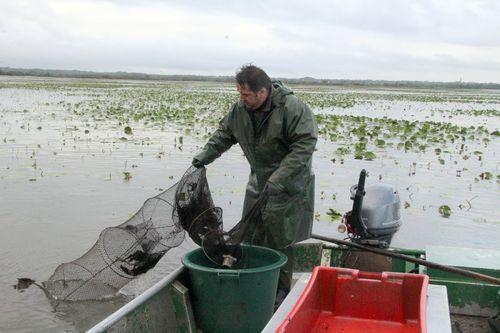 Iconographie - Frédéric Baudry en pêche dans le lac de Grand-Lieu