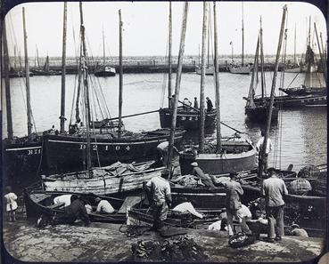 Iconographie - Déchargement de la sardine au Rossmeur