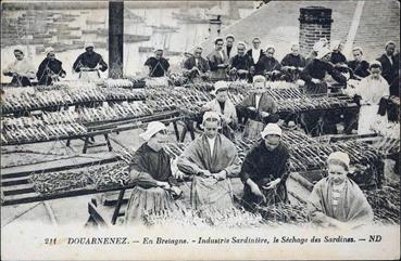 Iconographie - Industrie sardinière - Le séchage des sardines