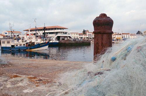 Iconographie - La gare maritime