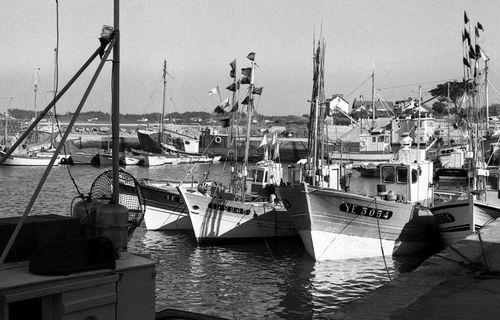 Iconographie - Bateaux au port