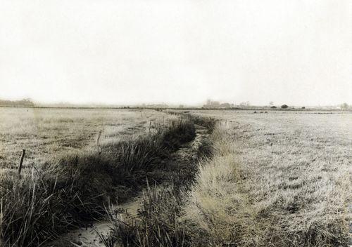 Iconographie - Fossé du marais vu du Grabat