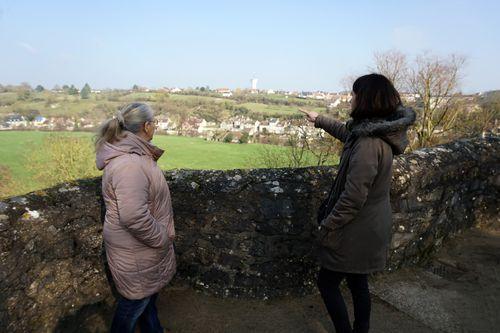 Iconographie - Vue sur Fresnay-sur-Sarthe