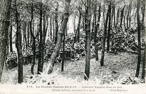 Iconographie - Infanterie anglaise dans un bois